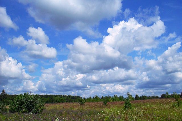 Природа рідного краю.