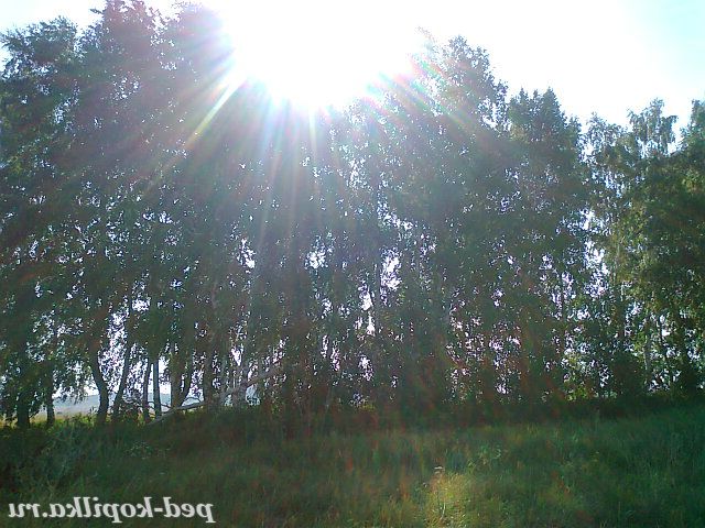 Мій рідний край!