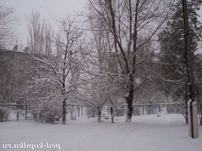 Перший сніг