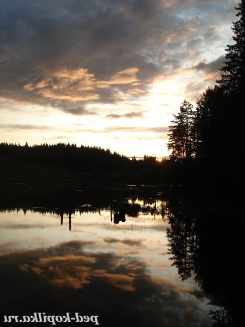 Ставок ввечері