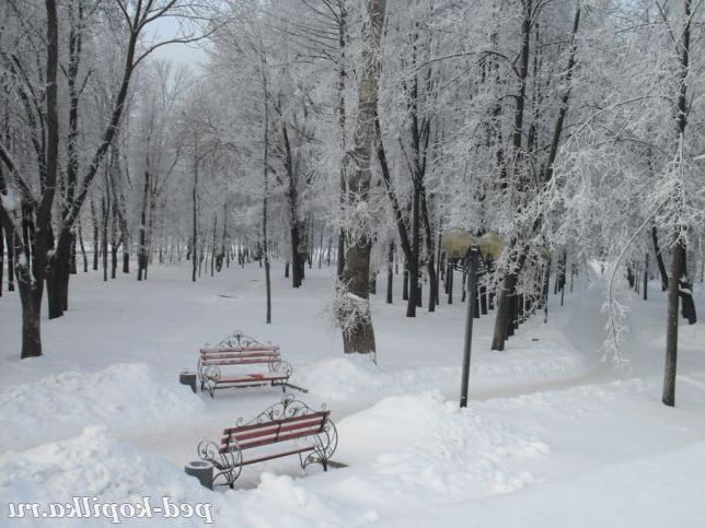 Зимова казка