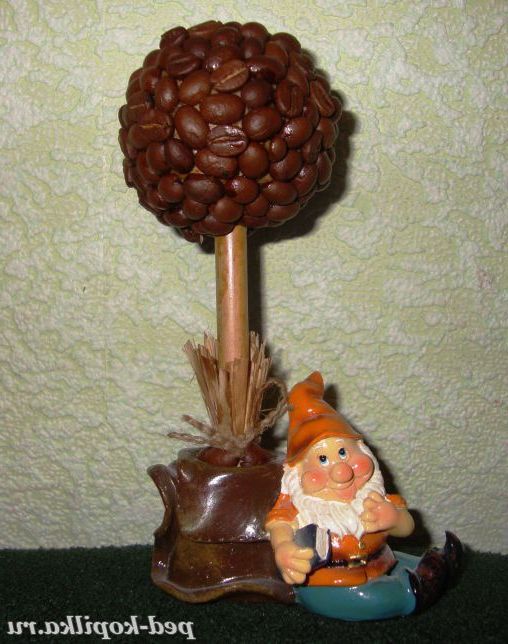 Кавове дерево своїми руками