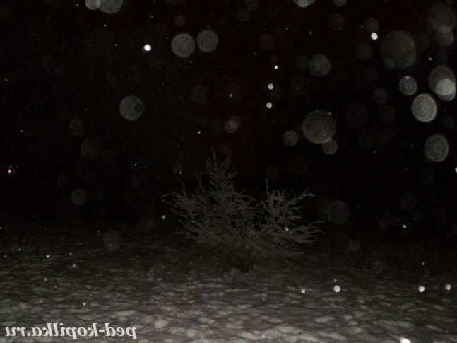 А сніг іде...