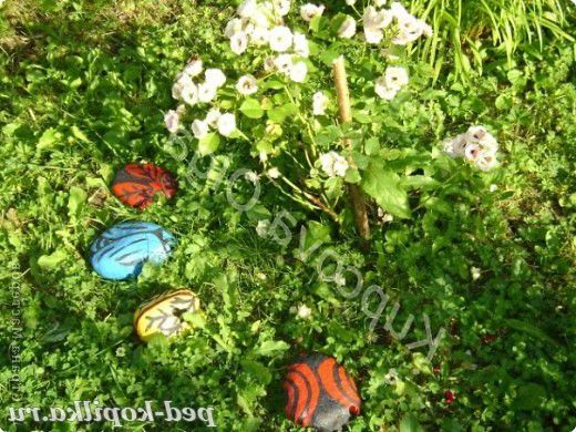 Жучки з каменів