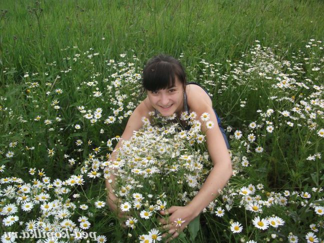 Люблю ромашки !!!
