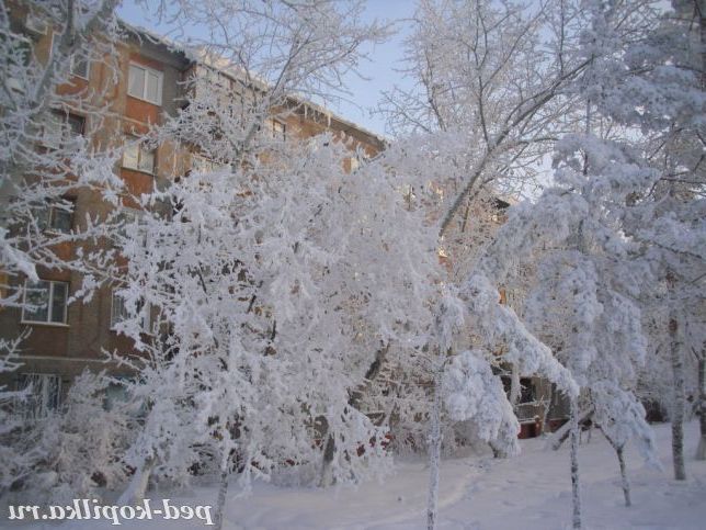 Зимовий наряд