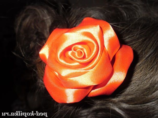 трояндочка на волосся
