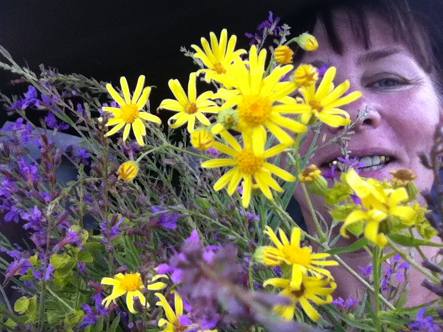 Квіти польові