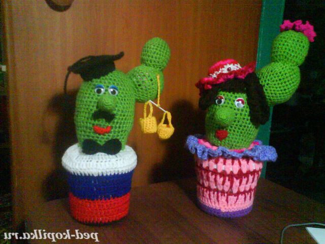 А МОЇ КАКТУСИ НЕ КОЛЮТЬСЯ