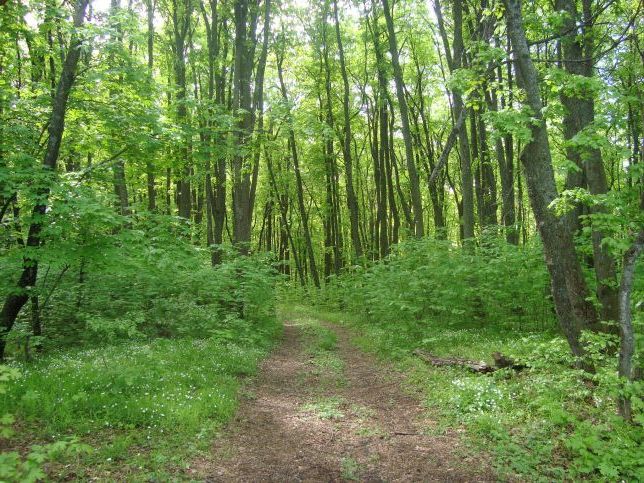 Природа Верхнедонского району