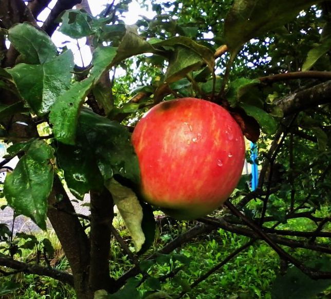 Ну хіба я не красиво?!!!