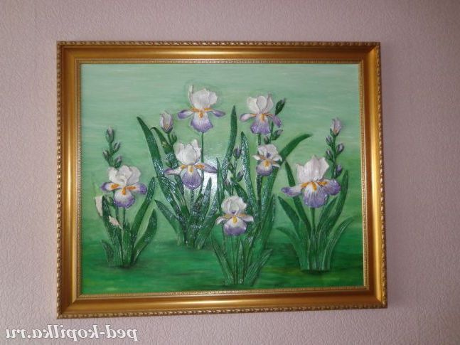 Іриси /тістопластика/