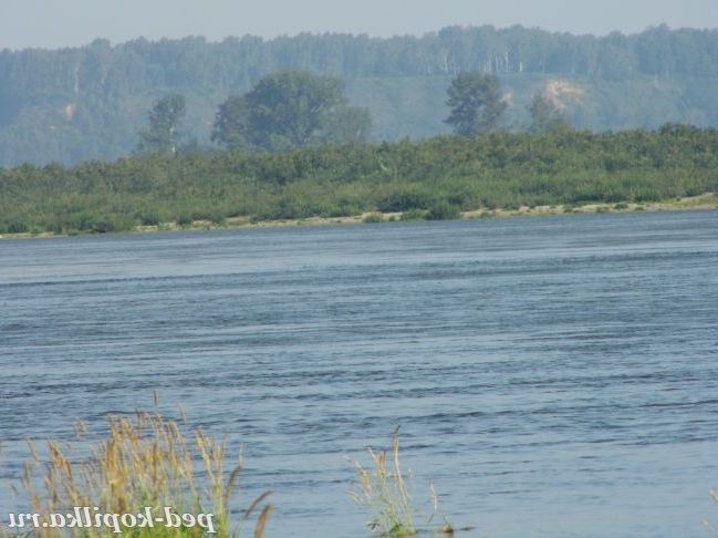 літній відпочинок