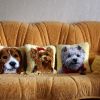 Моё хобби - ковроткачество