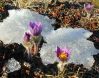 Народні прикмети квітня