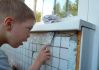 Виховання працьовитості у дитини