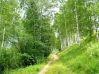 Народні прикмети на липень