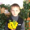 Мімоза для мами своїми руками