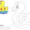 Розмальовка. Качечка