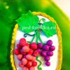 Пластилинография. Виноград