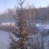 Взимку і влітку одним кольором
