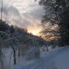 морозний день