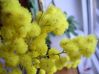 Весняні вироби своїми руками в дитячому садку
