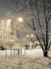 Оповідання для дітей про природу. Перший сніг