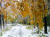 Оповідання про природу для молодших школярів