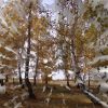 моє улюблене місце в районі