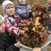 Як же багато листя накидала осінь.