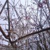 Стояв листопад вже біля двору...