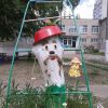 Літній оформлення ДНЗ