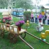 Літня прогулянка