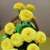Ромашки. Квілінг