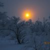 Міні-сонечко.