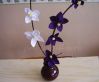 Орхідеї своїми руками