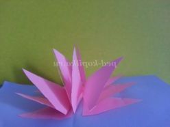 Майстер - клас «Листівка лотос 3 D»