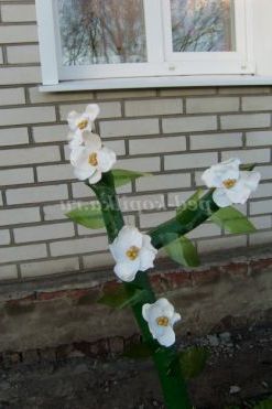 Майстер-клас 