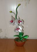 Майстер-клас «Орхідея в подарунок»