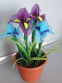 Об'ємні квіти з капрону своїми руками. Майстер-клас «Іриси» з покроковим фото