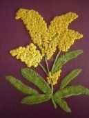 Майстер - клас з пластилинографии 