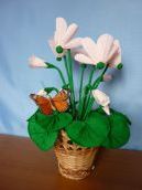 Майстер-клас з покроковим фото «Виготовлення цикламена з гофрованого паперу»