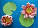 Майстер - клас «Лотоси». Об'ємна аплікація з кольорового паперу