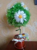 Топіарі своїми руками. Майстер клас